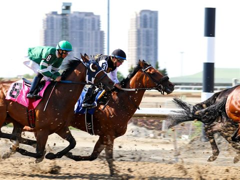 Carrera de caballos en el hipódromo