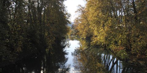 Río Oria entre árboles en otoño
